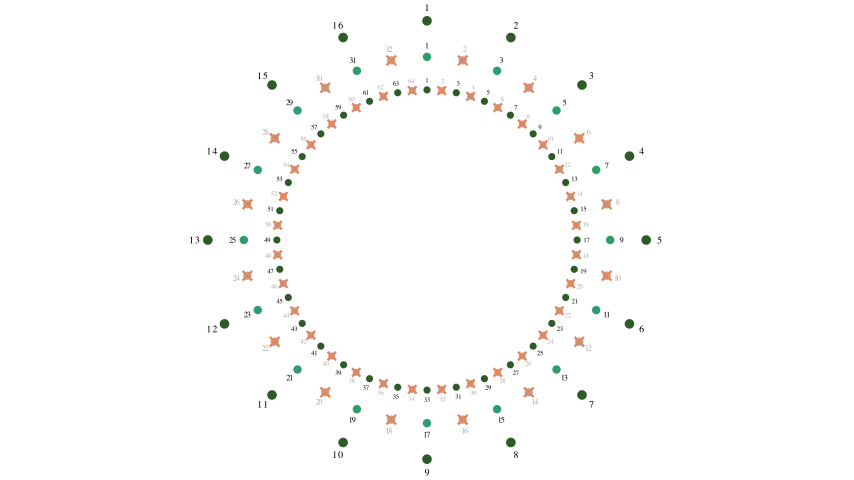 64 people: survivors renumbered 1–16